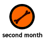 second month
