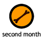 second month